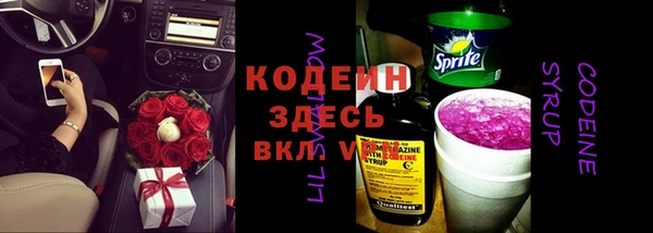 твердый Володарск