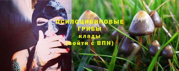 альфа пвп Верхнеуральск