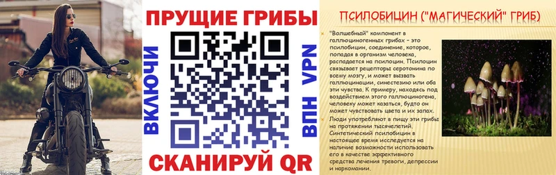 Галлюциногенные грибы прущие грибы  наркотики  Новошахтинск 